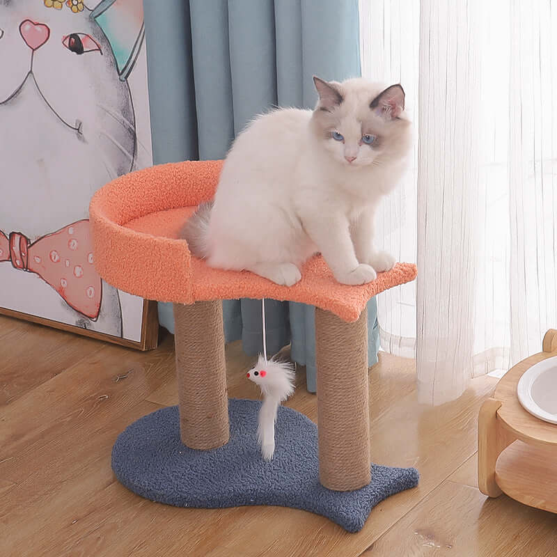 Cat Climbing Frame | Climb & Relax in Comfort